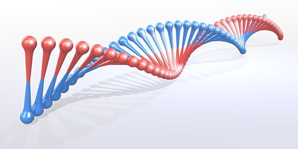 Estudo da hereditariedade