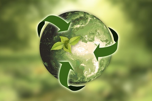 Feira Internacional de Meio Ambiente e Sustentabilidade (FIMAI)