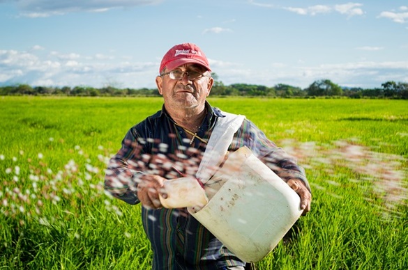 agricultura-sustentavel-o-homem-e-o-meio-ambiente