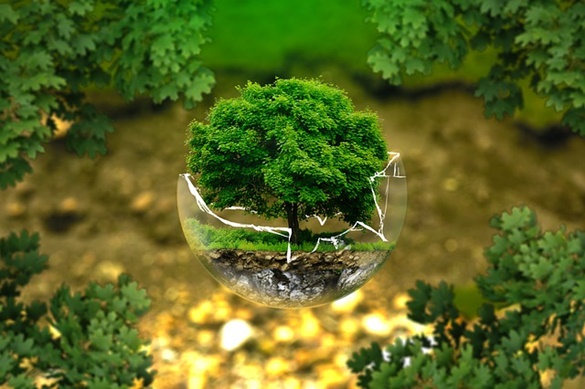 Biorremediação - Biotecnologia Ambiental