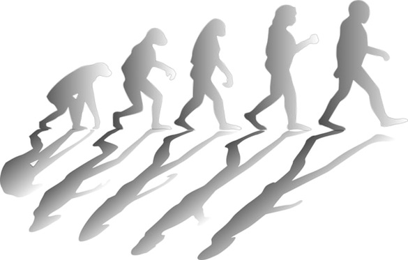 Resumo evolução do homem