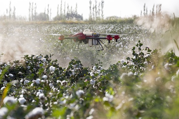 EU protiv pesticida koji sadrže hlorpirifos i hlorpirifos-metil