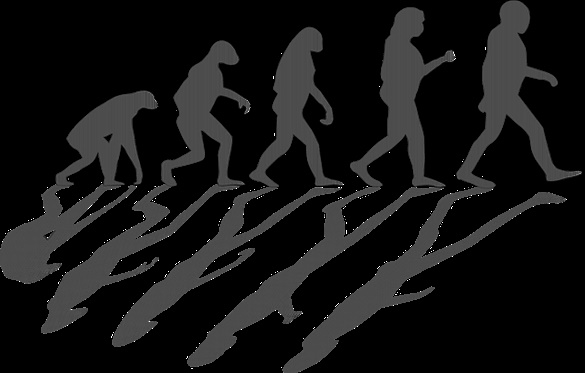 teoria-evolutiva-de-darwin-caracteristicas-conceitos-e-comparacoes-com-lamarck